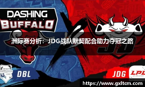 洲际赛分析：JDG战队默契配合助力夺冠之路
